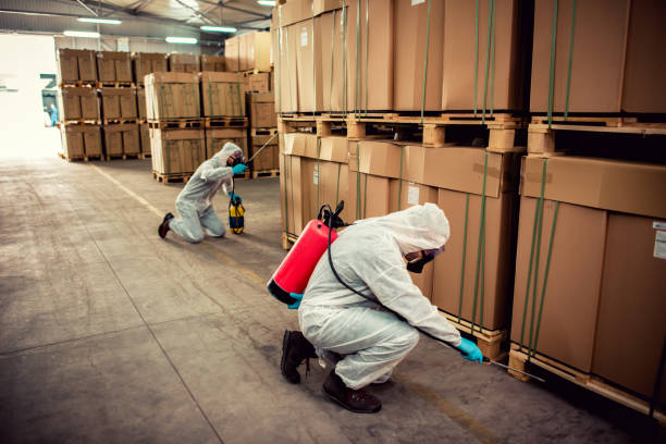 Best Affordable Pest Control Services  in East Newark, NJ