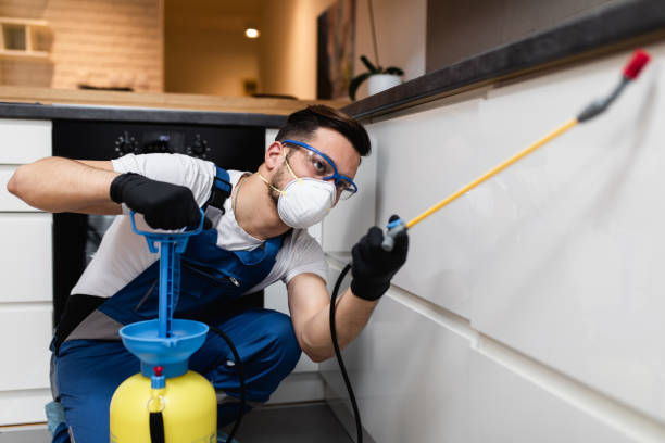 Best Bed Bug Extermination  in East Newark, NJ