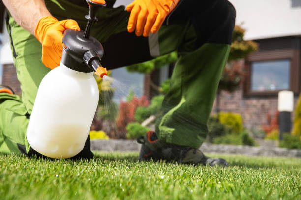 Best Commercial Pest Control Services  in East Newark, NJ