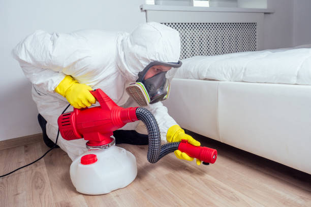Professional Pest Control in East Newark, NJ
