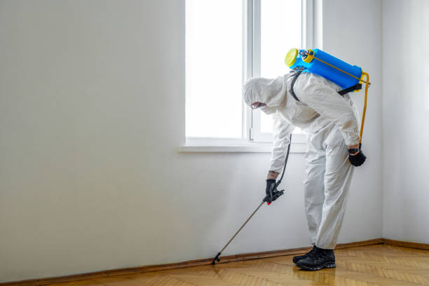 Best Mosquito Control Services  in East Newark, NJ