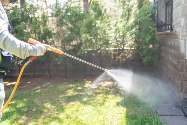 Best Pest Control Treatment  in East Newark, NJ