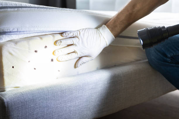 Pest Prevention Services in East Newark, NJ