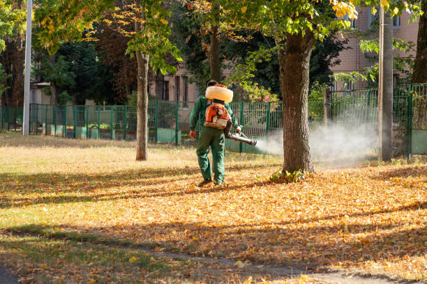 Best Rodent Control Near Me  in East Newark, NJ