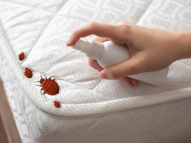 Best Affordable Pest Control Services  in East Newark, NJ