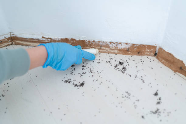 Best Wildlife Control Services  in East Newark, NJ